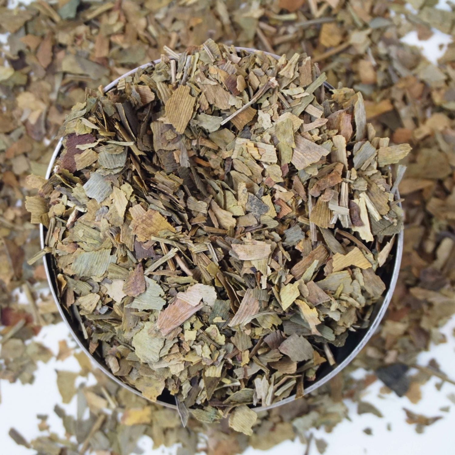 Image of Ginkgo Biloba