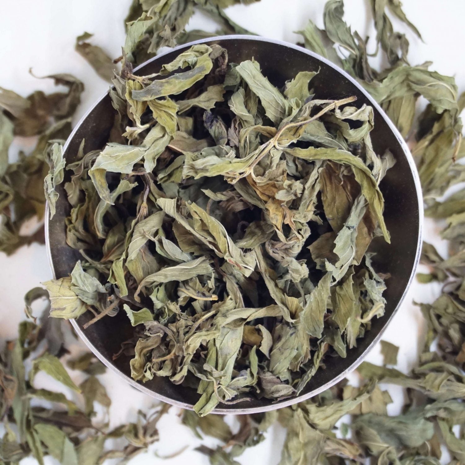 Image of Spearmint - Groot blad