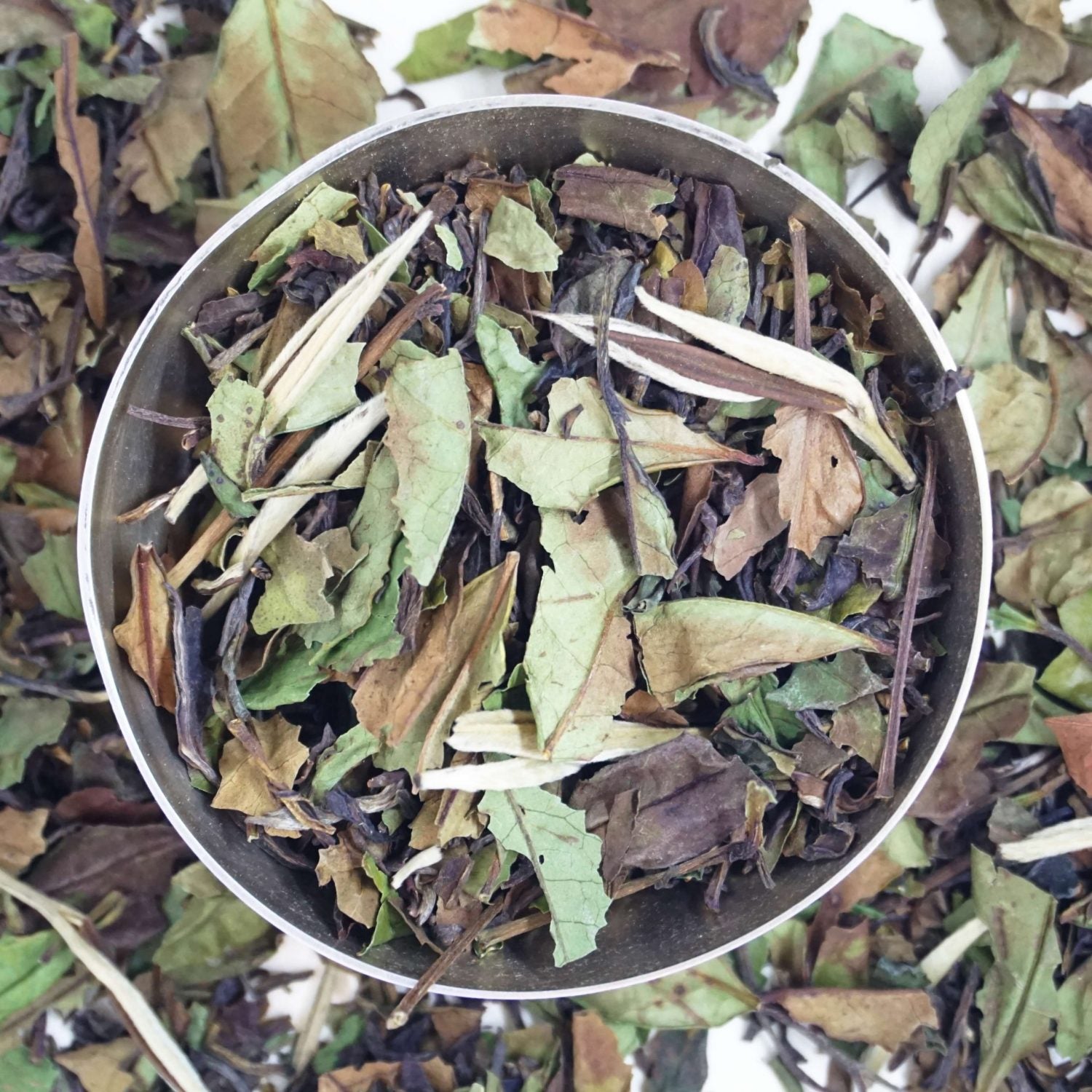 Image of Jasmine Imperial