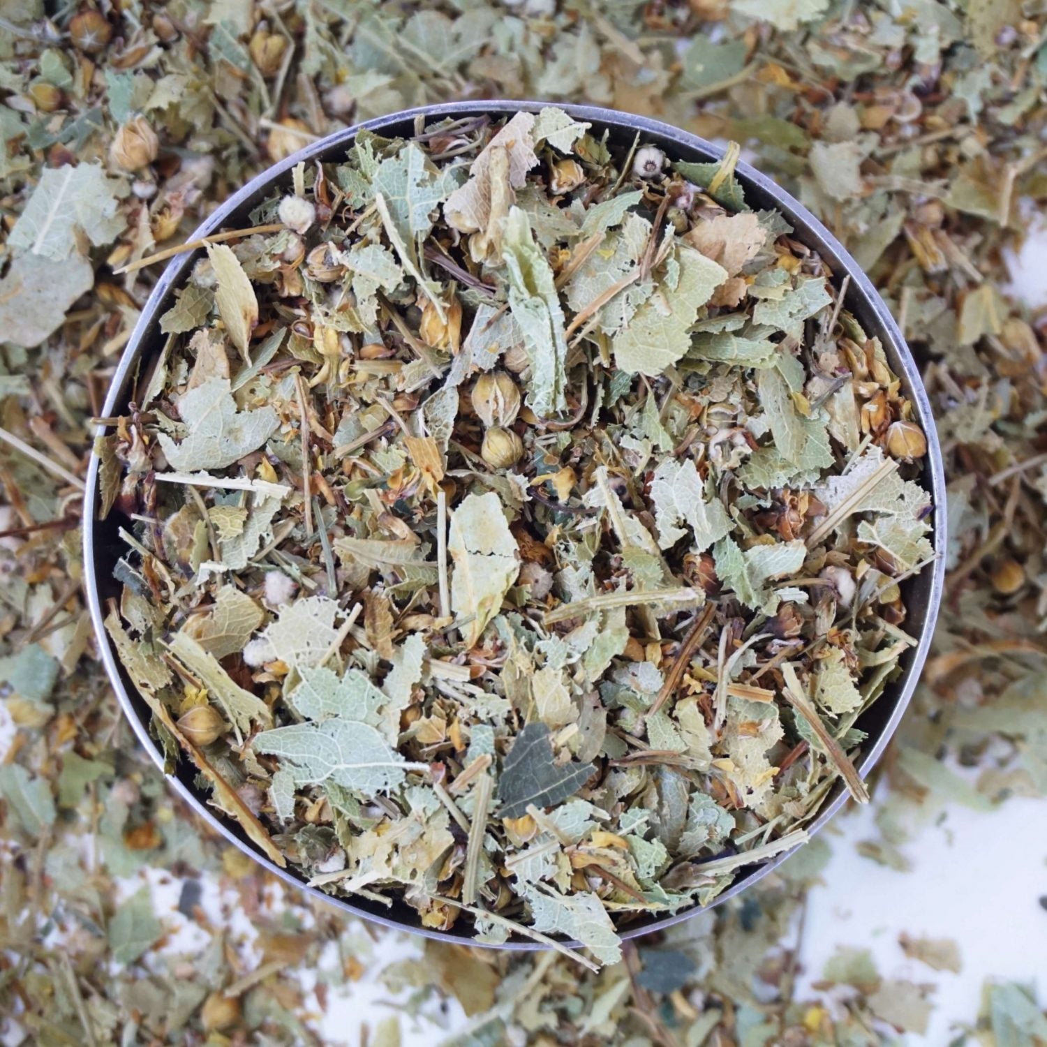 Image of Linde - Gekapt