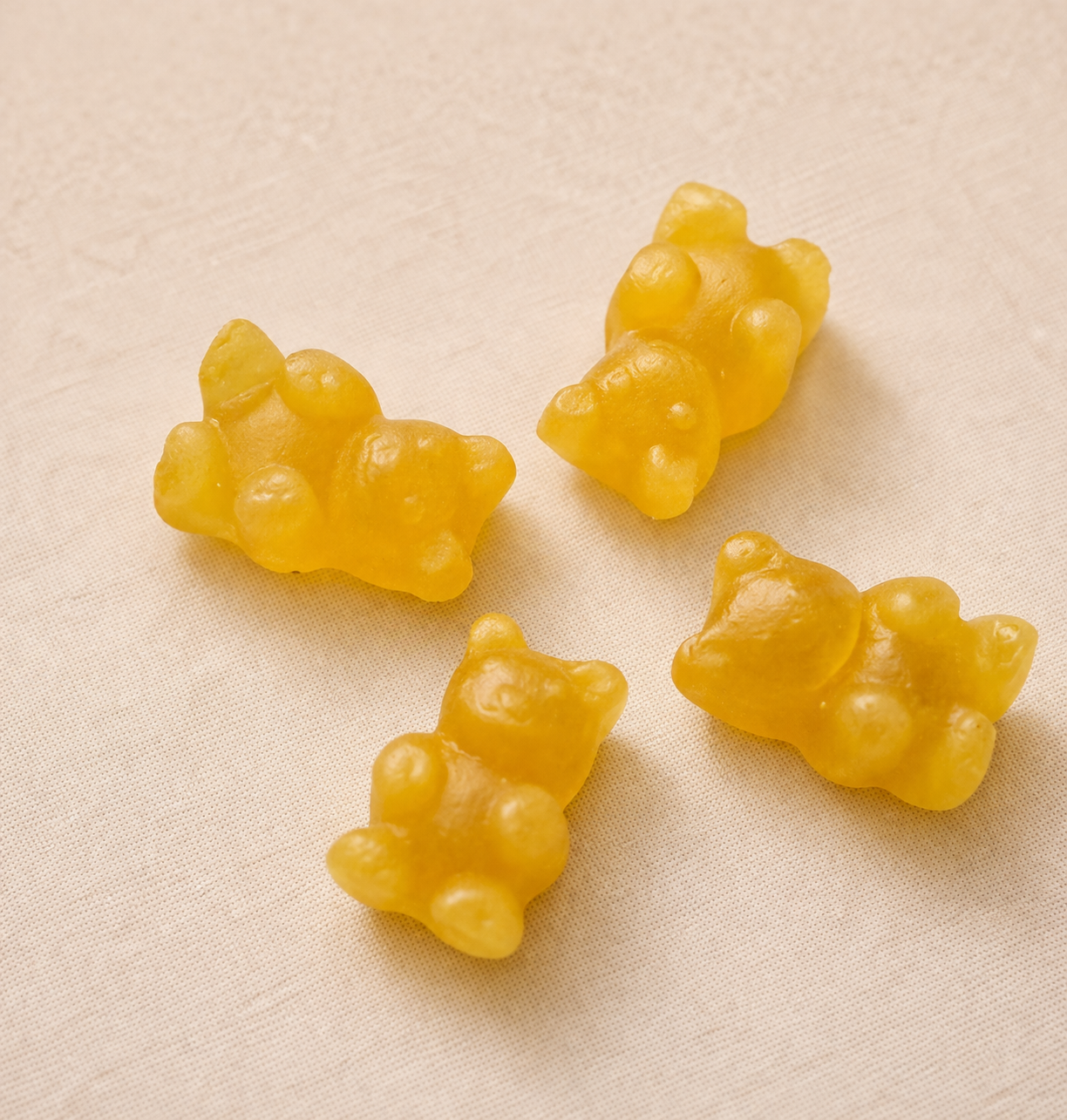 Magic Bears - Gember & Limoen