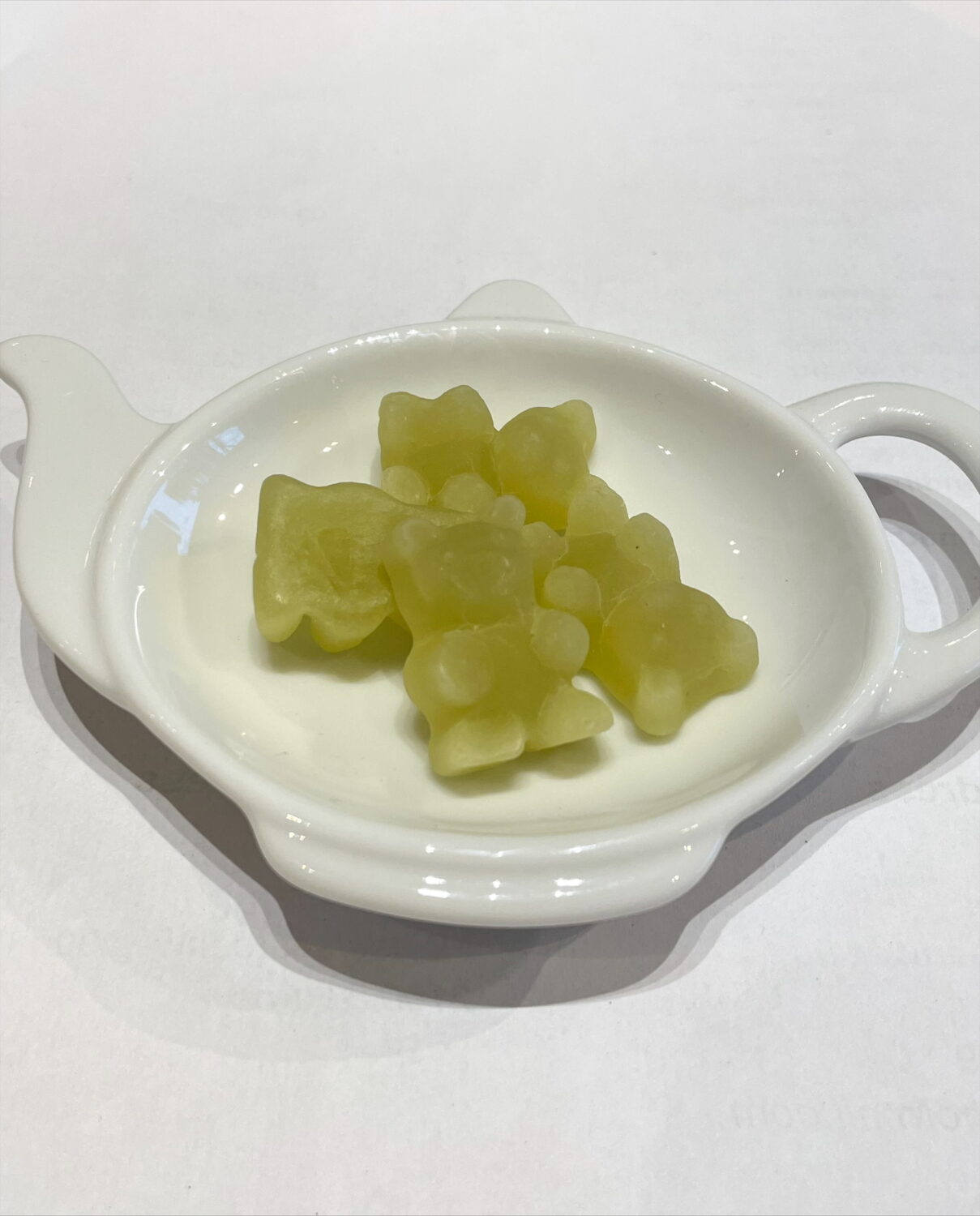 Image of Magic Bears - Appel