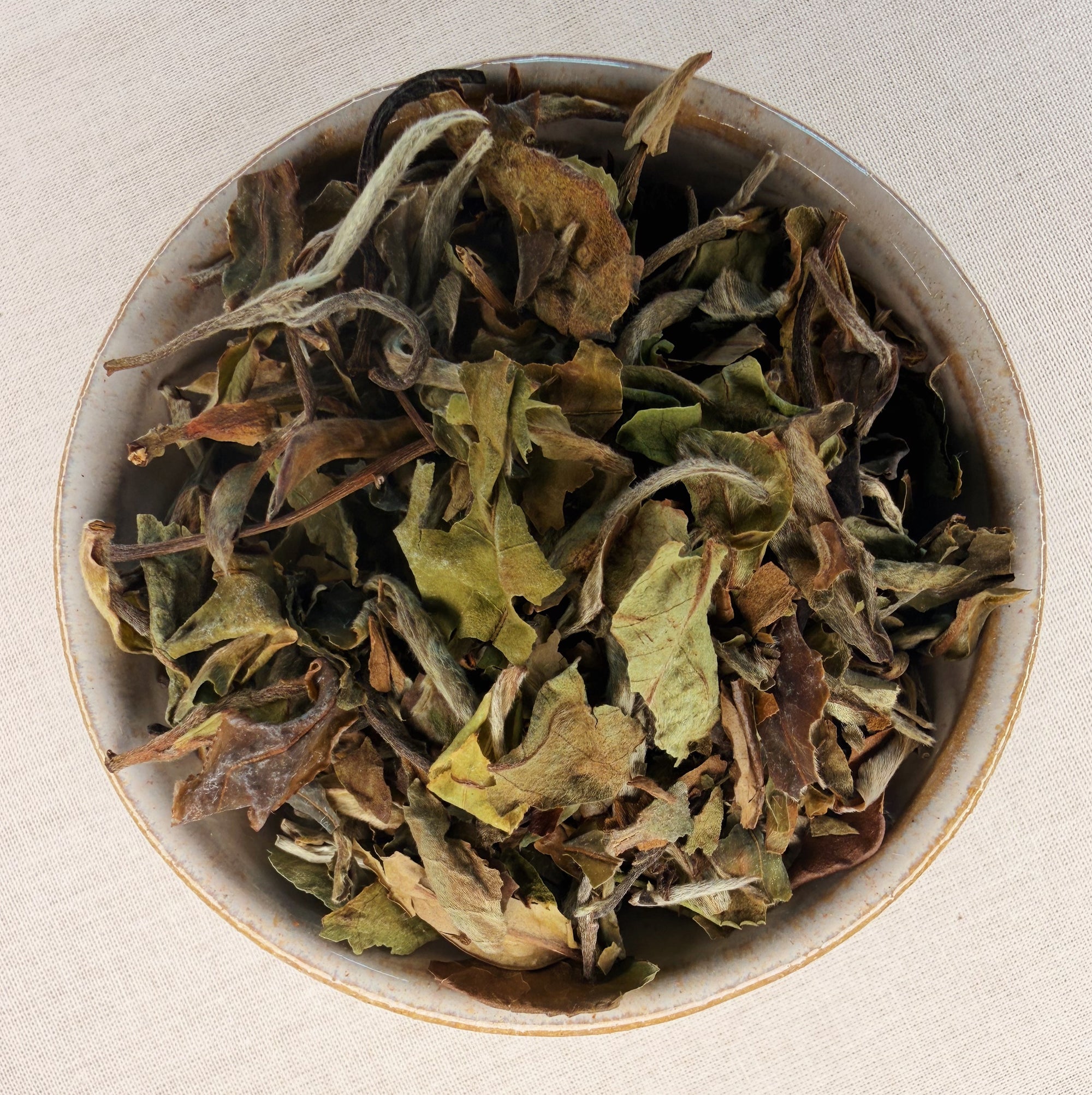 Paï Mu Tan
