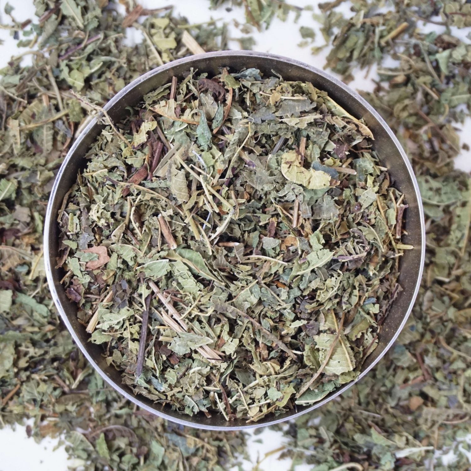 Image of Verbena - Gekapt