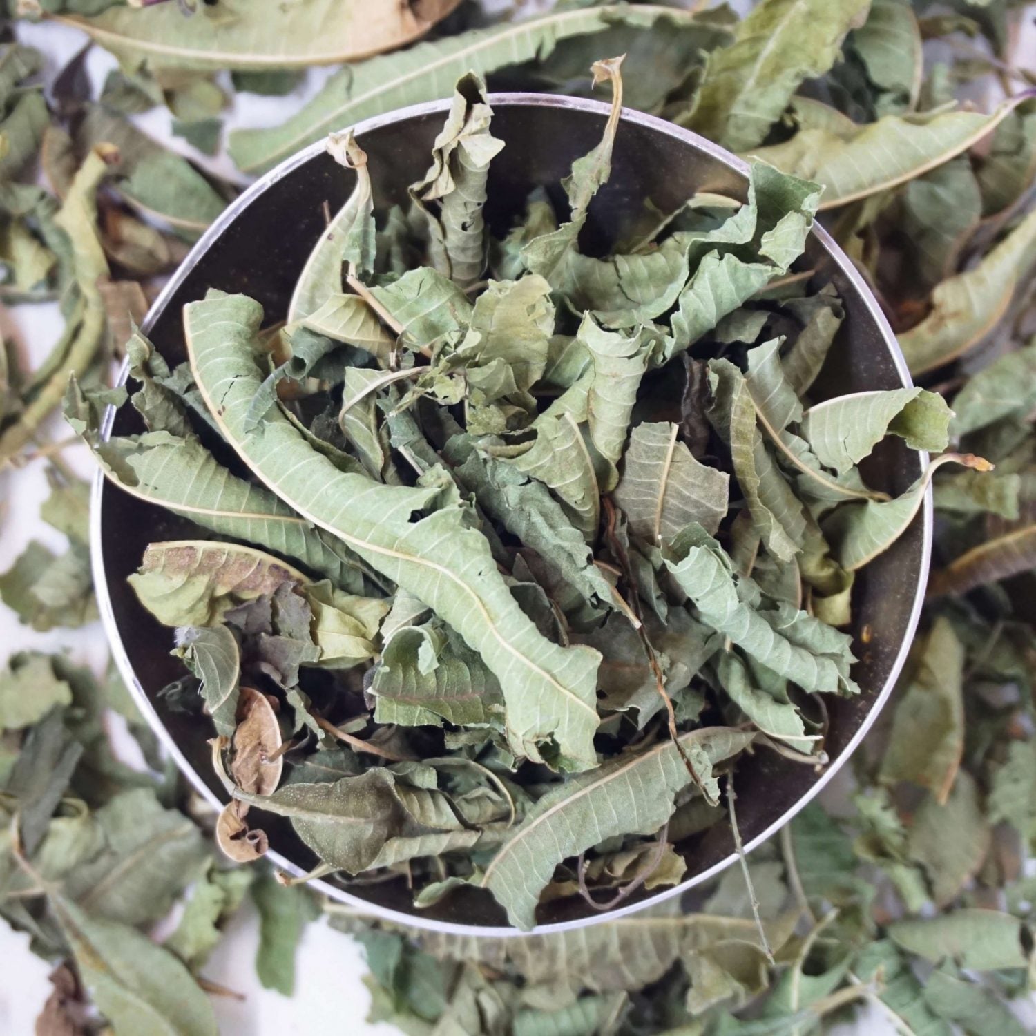 Image of Verbena - Volledig blad