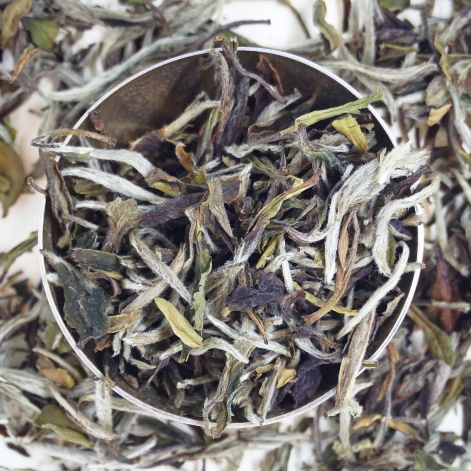 Image of White Peony