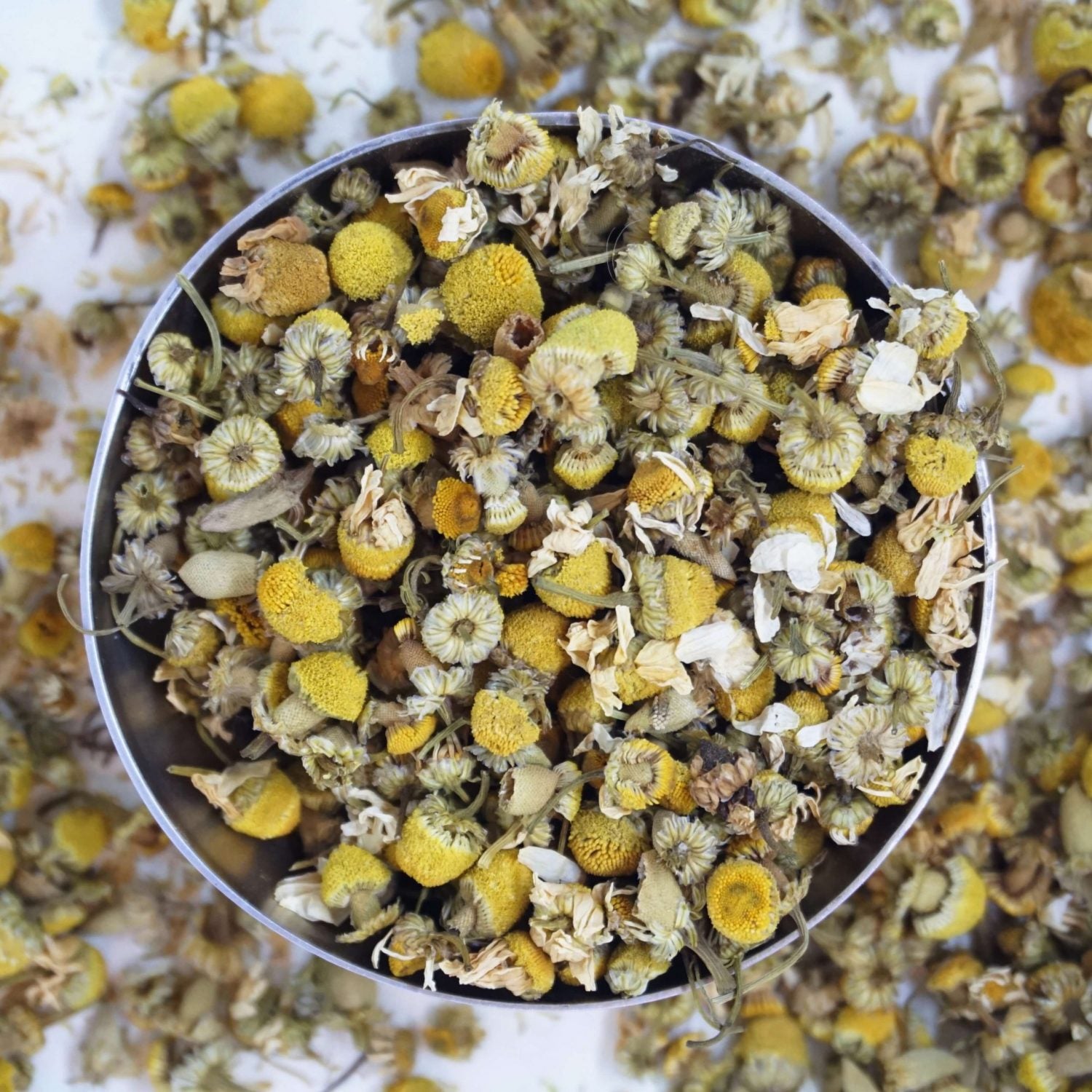 Image of Wilde Kamille